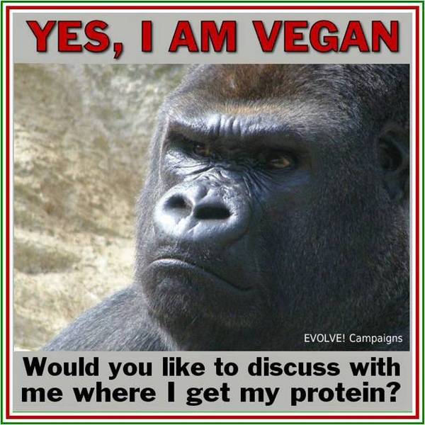 gorilla vegan